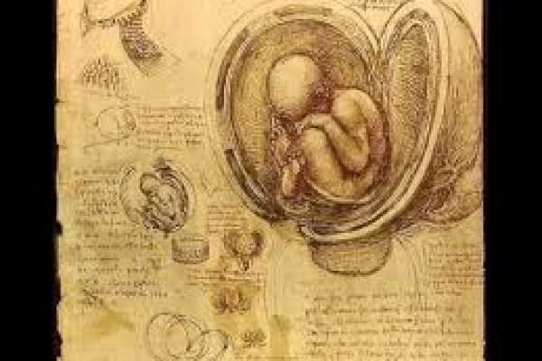 Da Vinci, Leonardo - Cuaderno De Notas