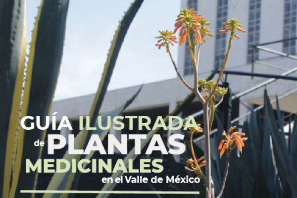 Guia ilustrada de plantas medicinales (Mexico)