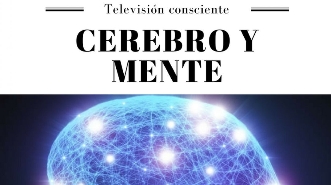 DDLA TV 2x08 CEREBRO Y MENTE-ACCION REACCION-OCTAVAS