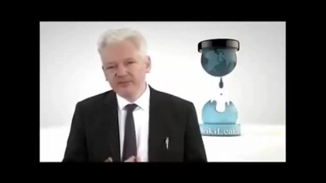Julian Assange es un Agente Desinformador del IJM