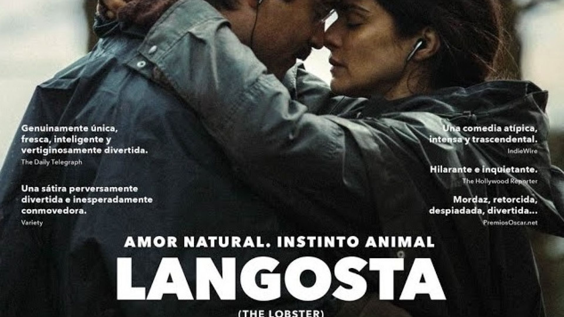 Langosta (2015) cas. + LINK