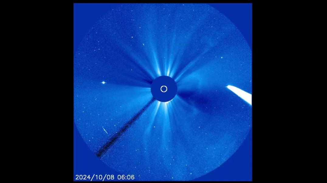 COMETA - COMITIVA - COMISIÓN - COMETIDO