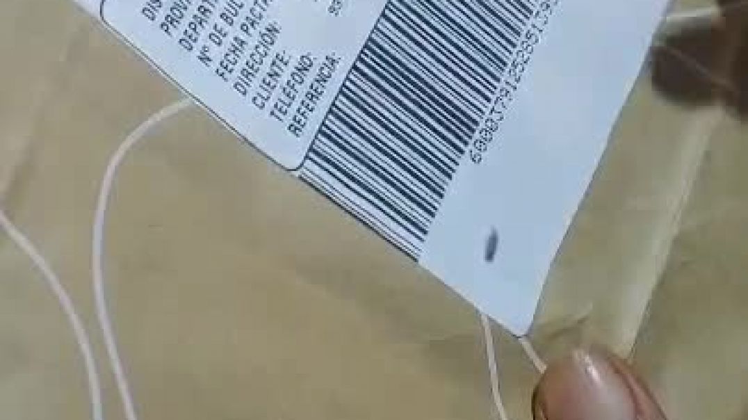 WhatsApp Video 2025-05-29 at 2