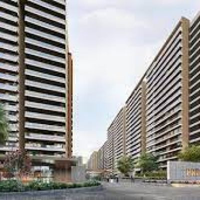 Prestige Evergreen