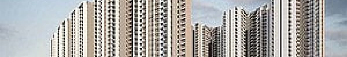 Prestige Evergreen