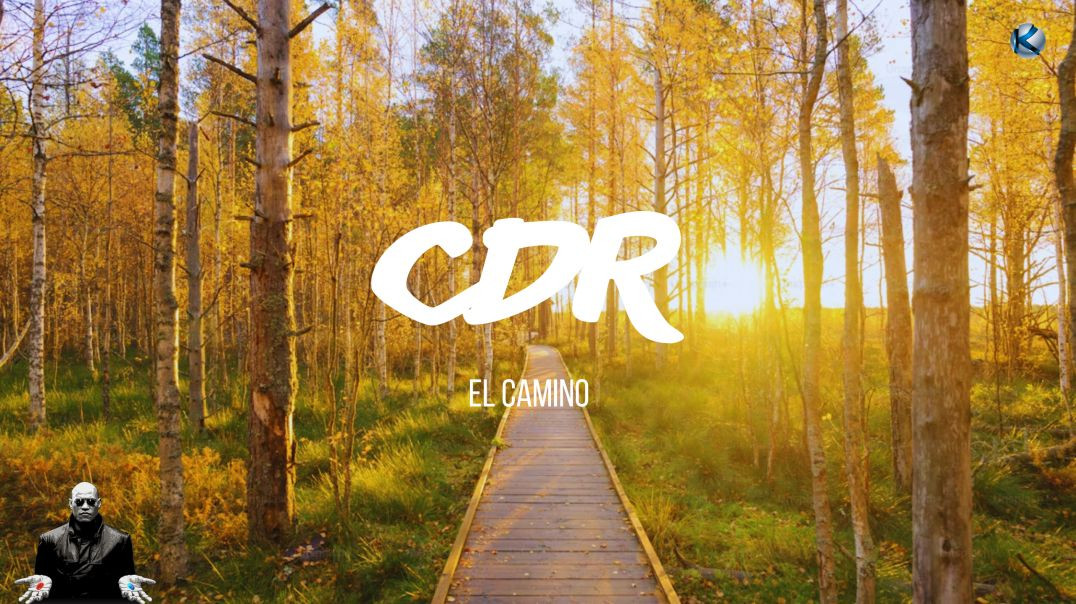 ⁣Cápsulas de realidad - 124 El camino