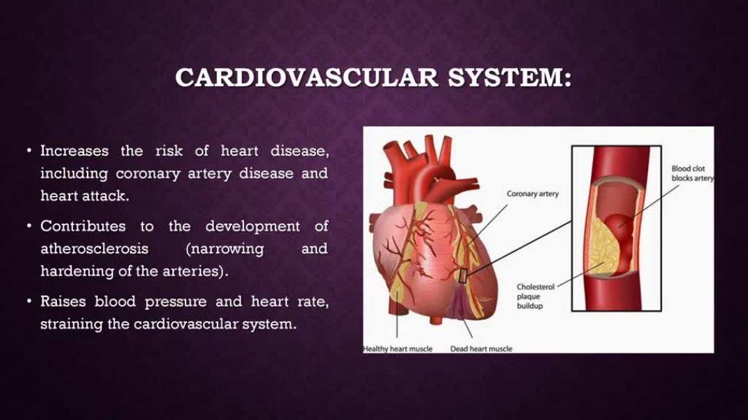 Health Effects of Smoking on the Body