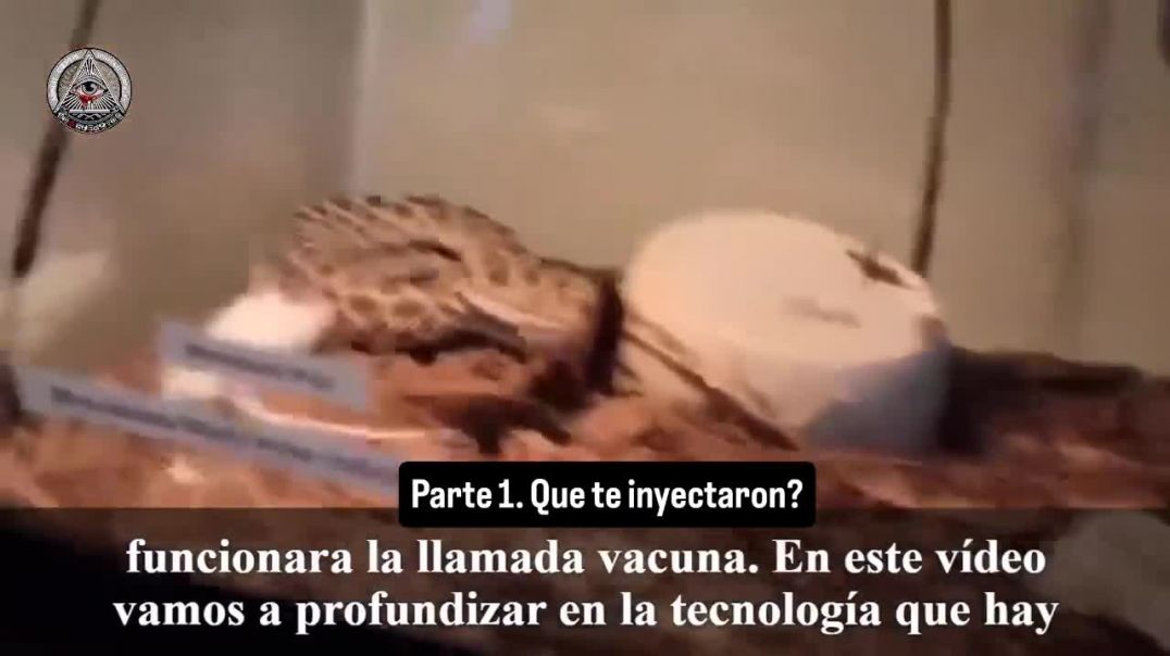 ¿Qué te inyectaron en 2021? 1°Parte