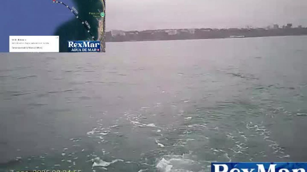 Viaje de extr de Agua de Mar RexMar  🇵🇪 del 7-8-25