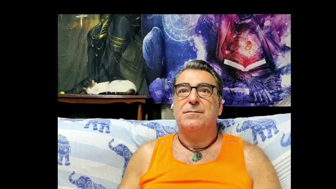 Lectura de los Artículos del (2013) 29,30,31,32