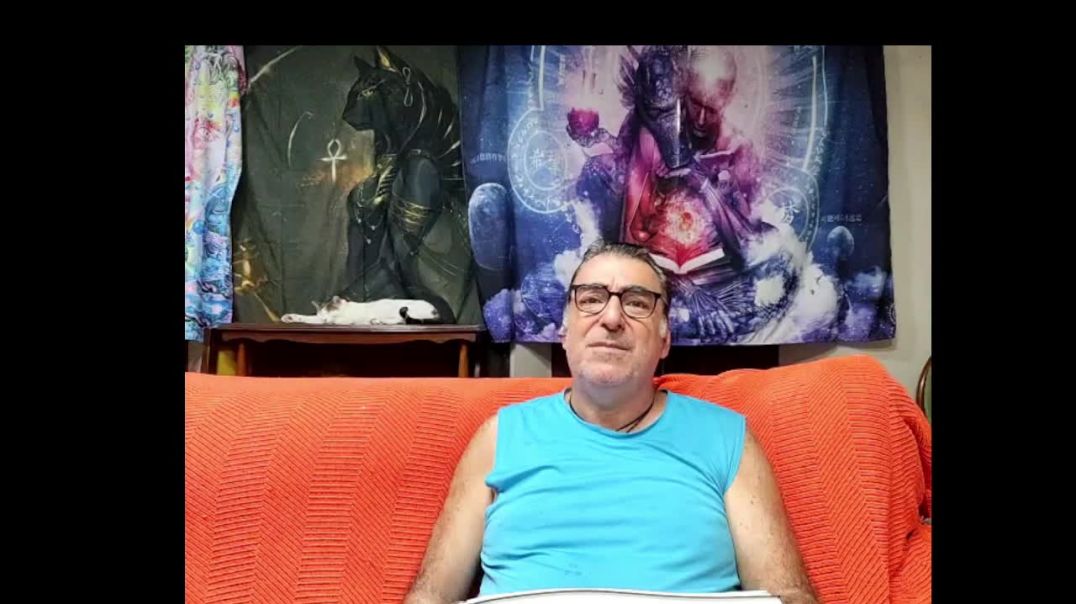 Lectura de los Artículos del (2013) 10,11,12,13
