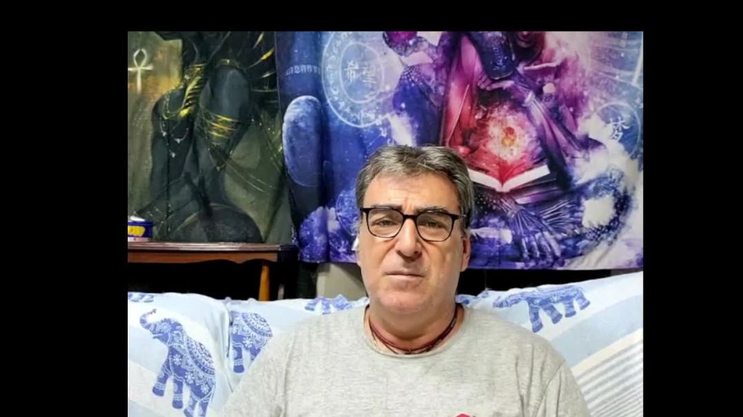Lectura de los Artículos del (2013) 28