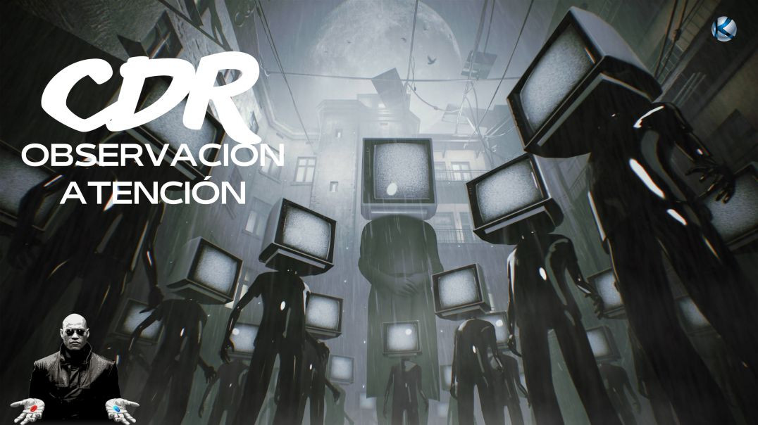 ⁣Cápsulas de realidad - 128 Observación/atención