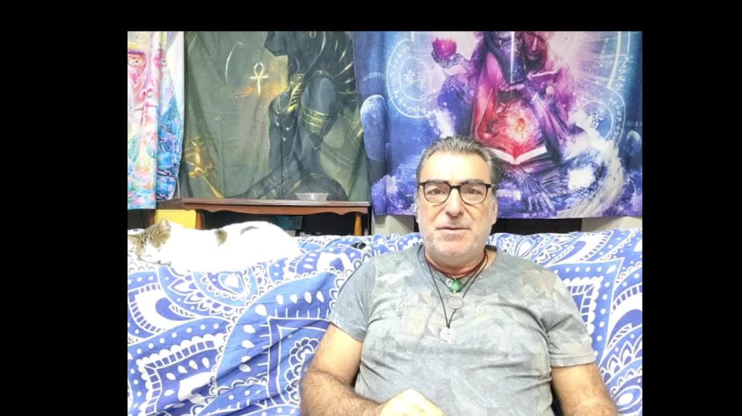 Lectura de los Artículos del (2013) 46,47,48,49,50