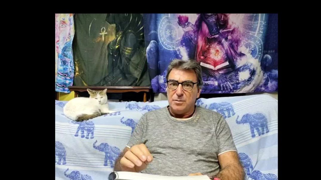 Lectura de los Artículos del (2013) 67,68,69,70