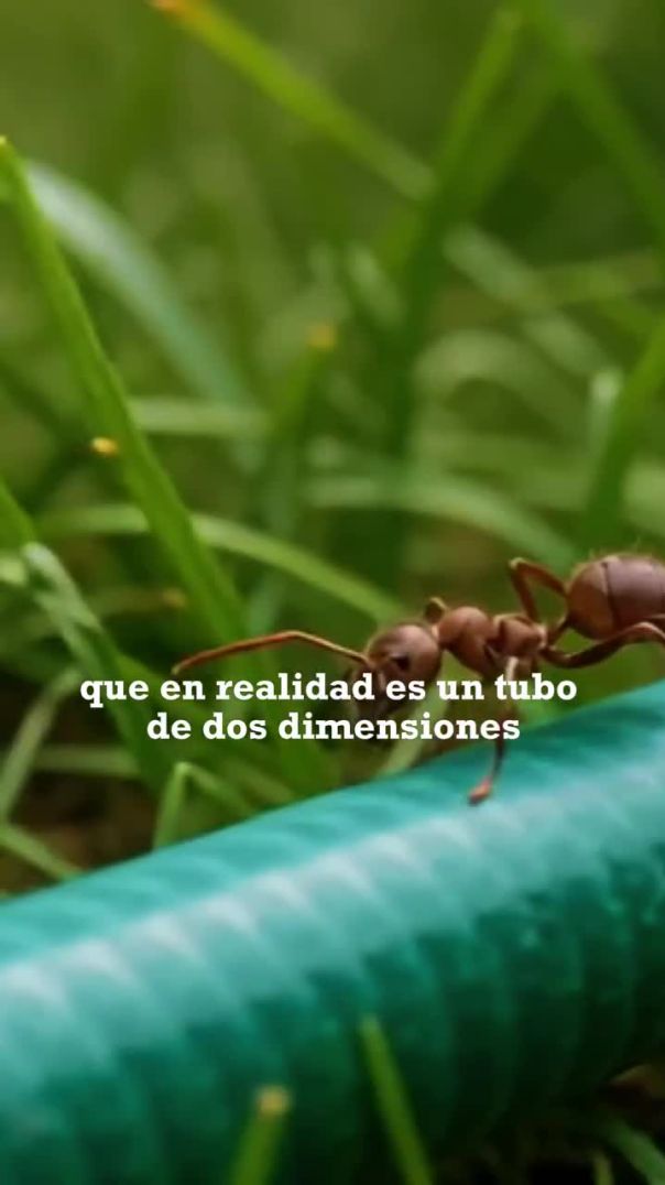 Lo visible es apenas una grieta de lo que realmente existe