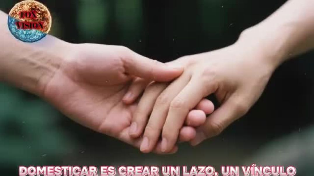 El Desierto Interior de José Luis La Cruda Verdad