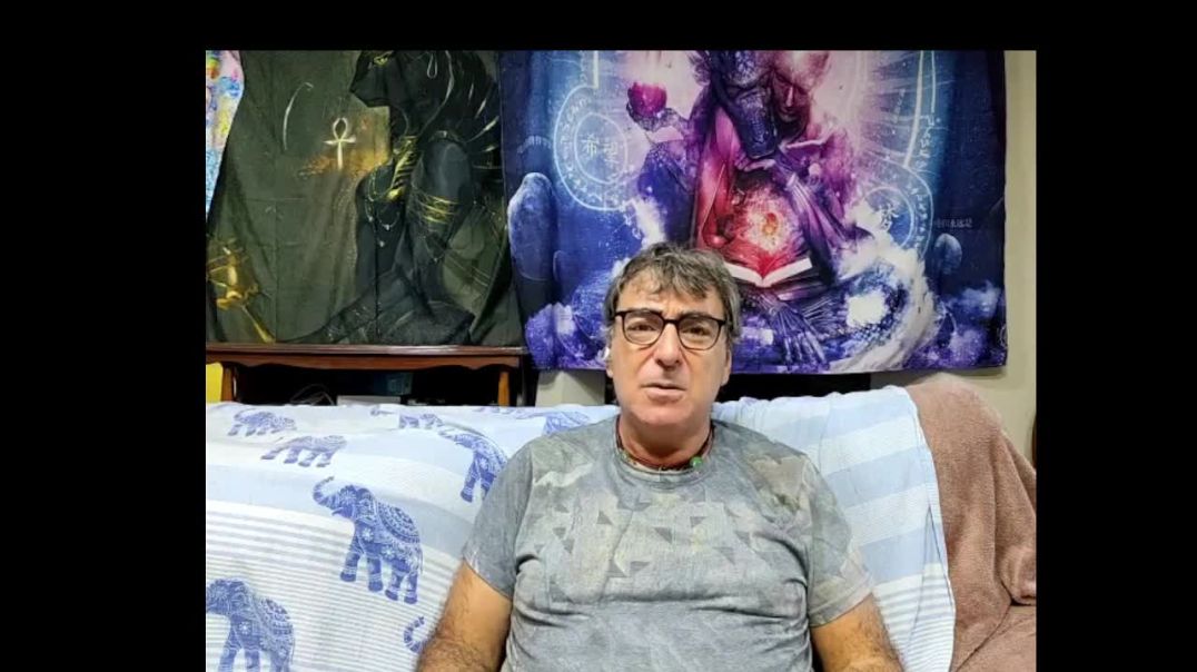 Lectura de los Artículos del (2013) 79,80,81