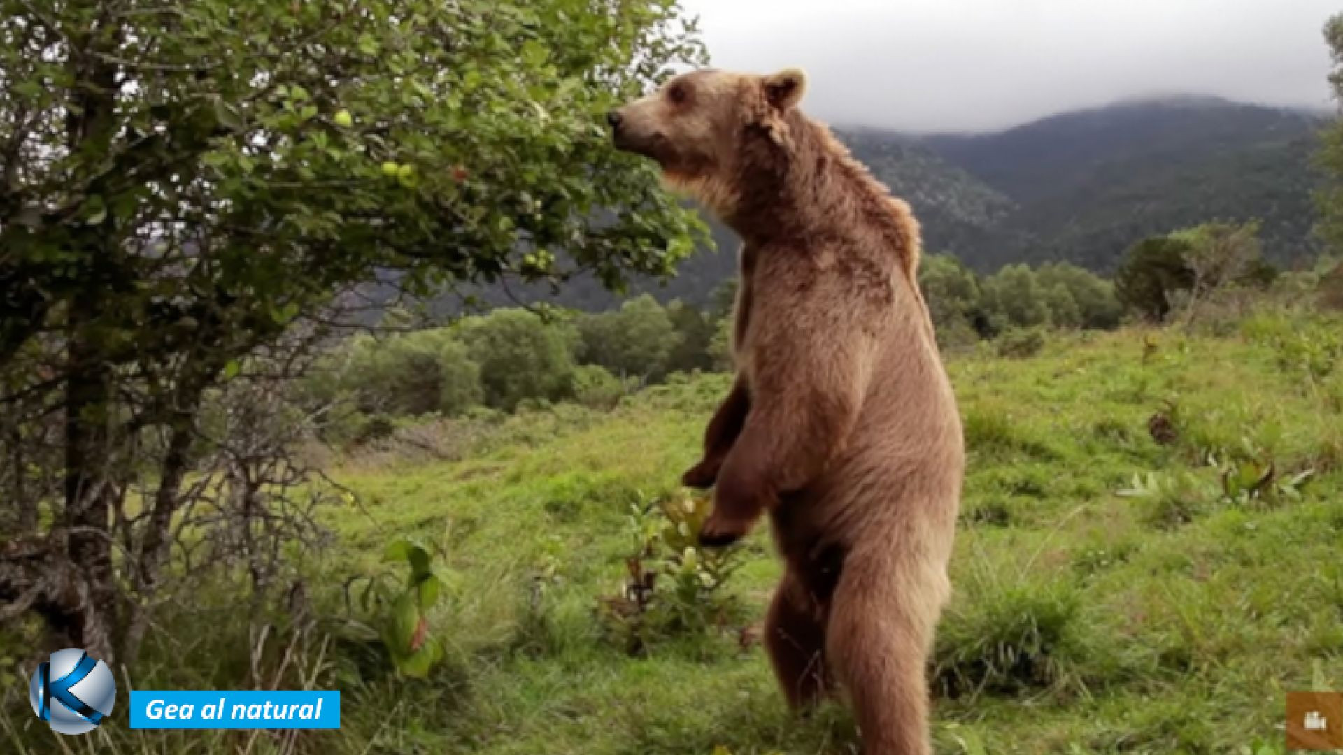 GEA 63 Francia - Tierra de campiñas y vida silvestre