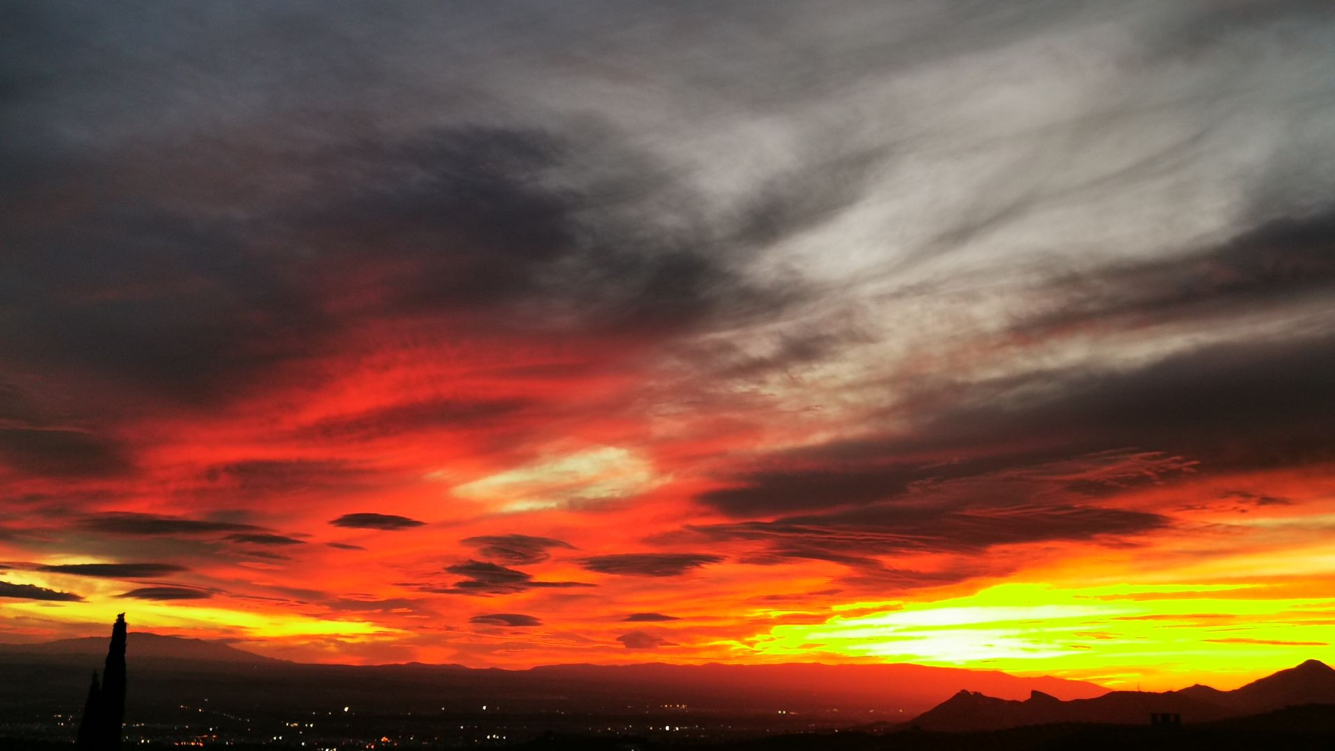 Mahmoud Darwish - ¿Por qué has dejado solo al caballo?