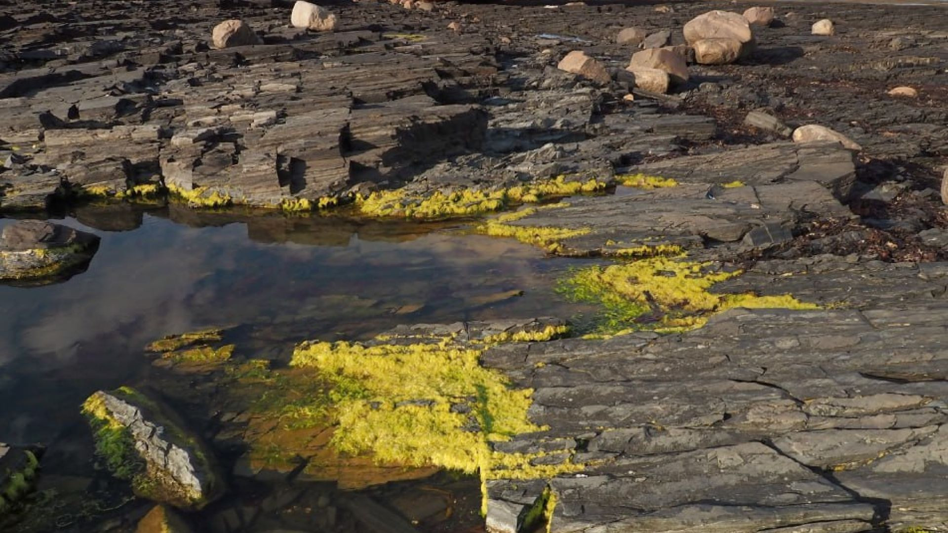 Moriste ayer (y no lo recuerdas) - Inmortalidad cuántica