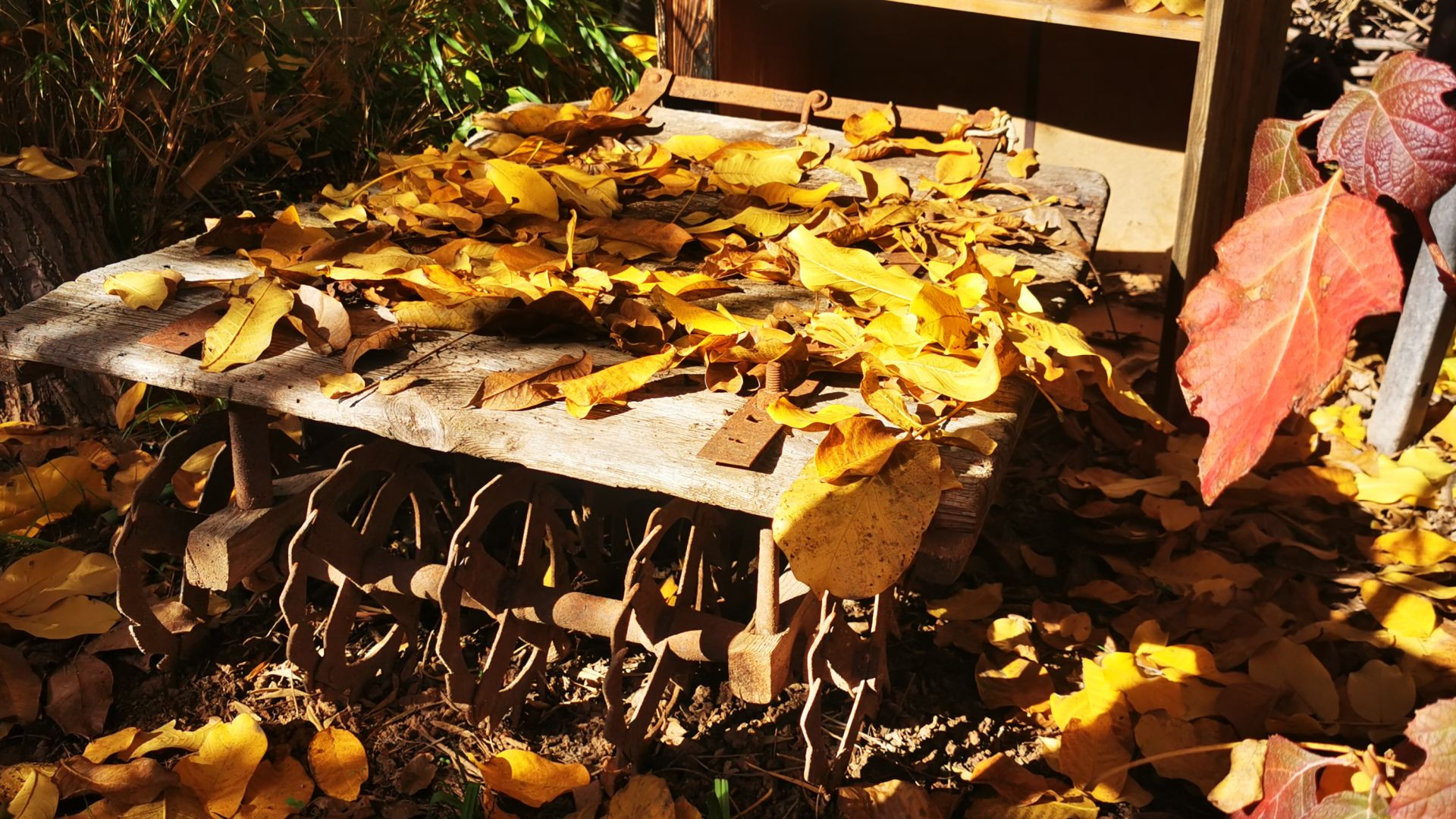 2025 las semillas ya están plantadas - de grillos y cigarras