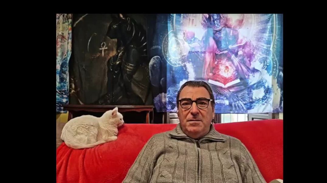 Lectura de los Artículos del (2014) 40,41,42,43