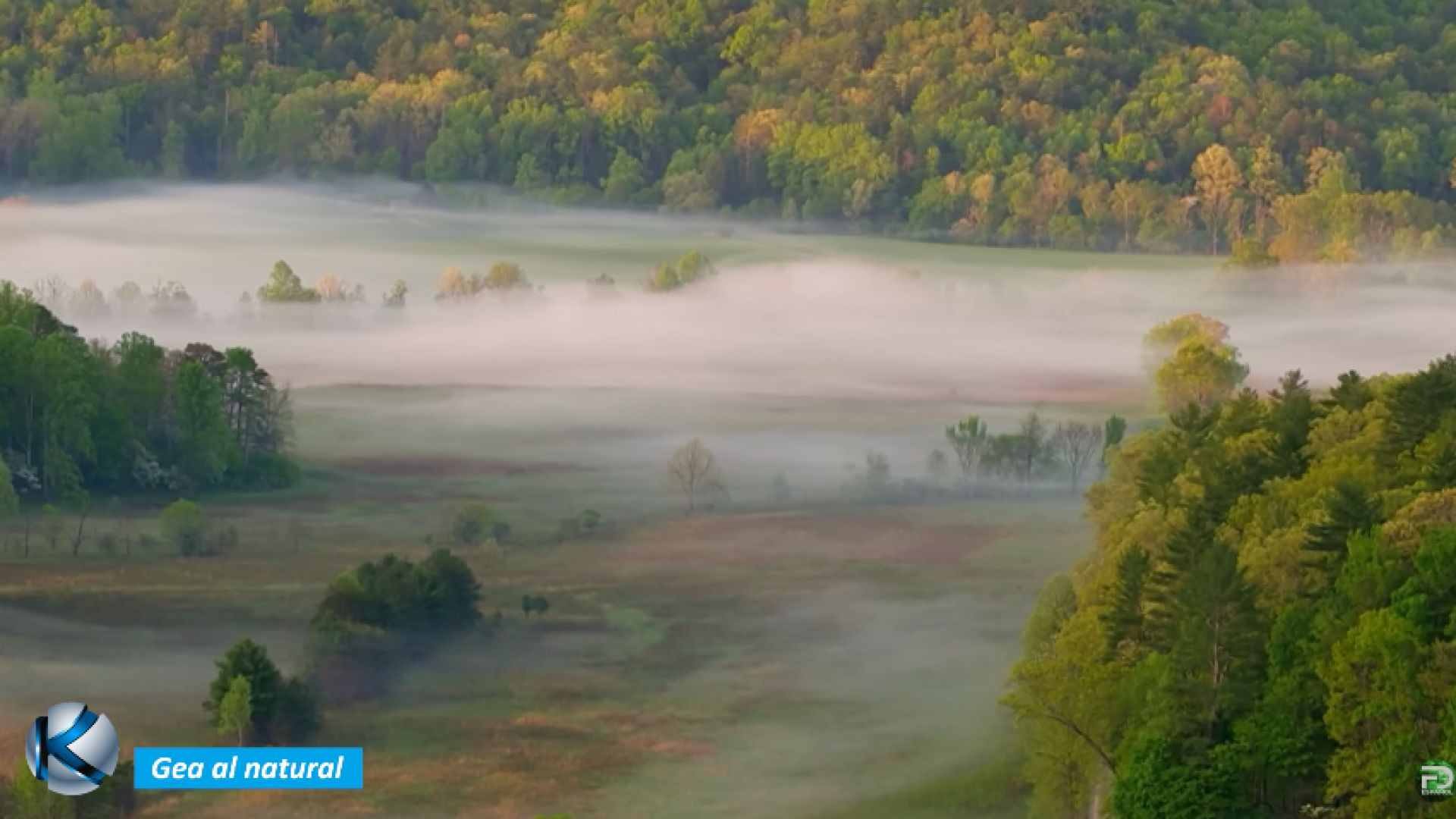 GEA 77 El reino templado - la danza de las estaciones