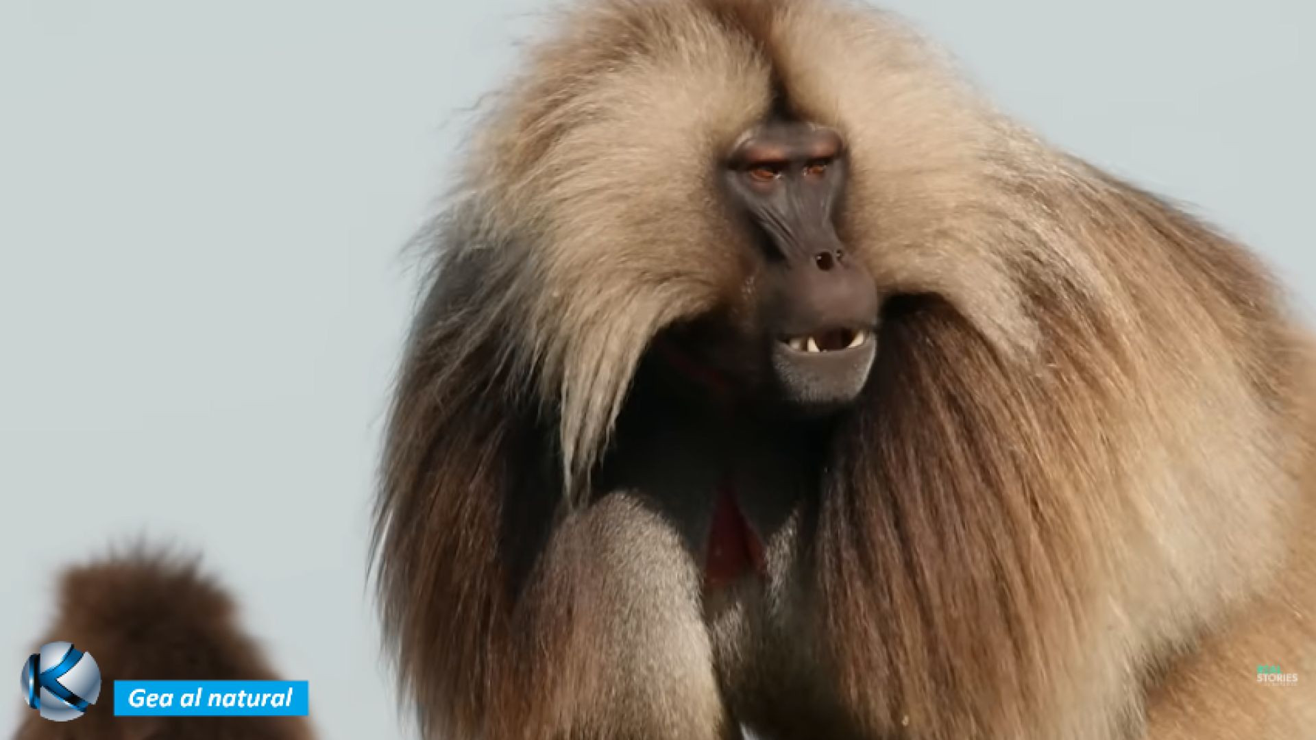 GEA 83 Etiopía - La rica vida en sus tierras altas