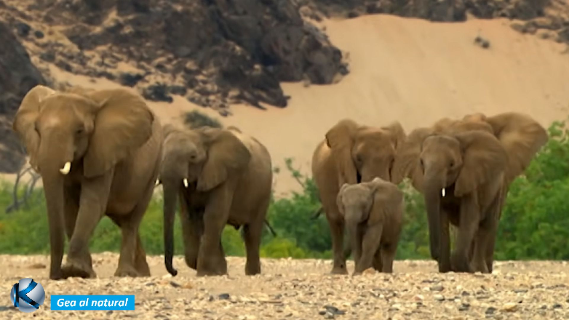 GEA 82 Namib - El desierto más antiguo del mundo