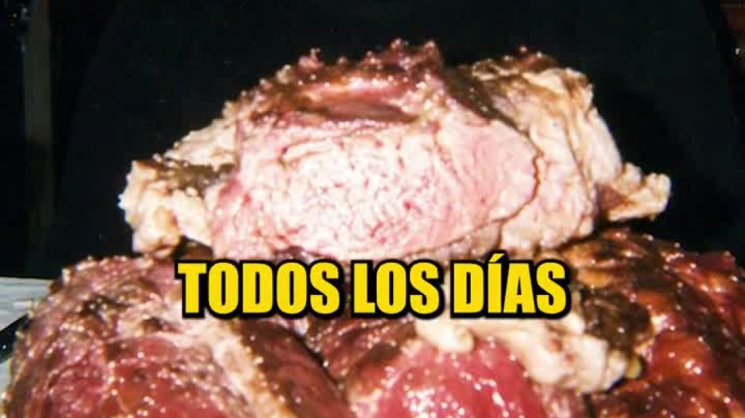 ¿La DIETA CARNÍVORA es un ERROR?