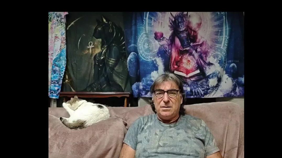 Lectura de los Artículos del (2015) 47,48,49,50