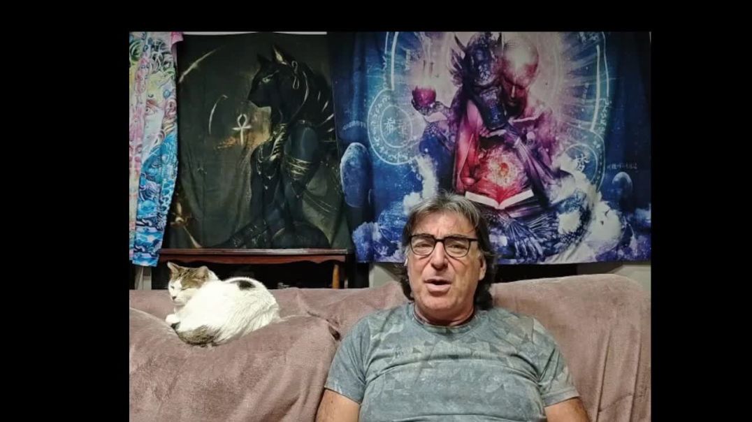 Lectura de los Artículos del (2015) 43,44,45,46