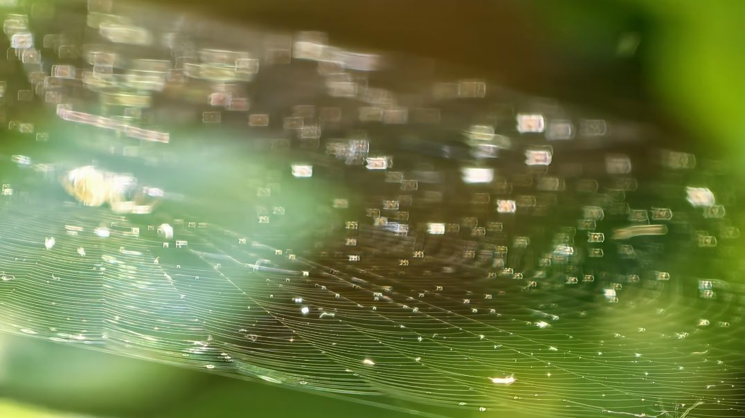 Dr. Luís Miguel de Benito