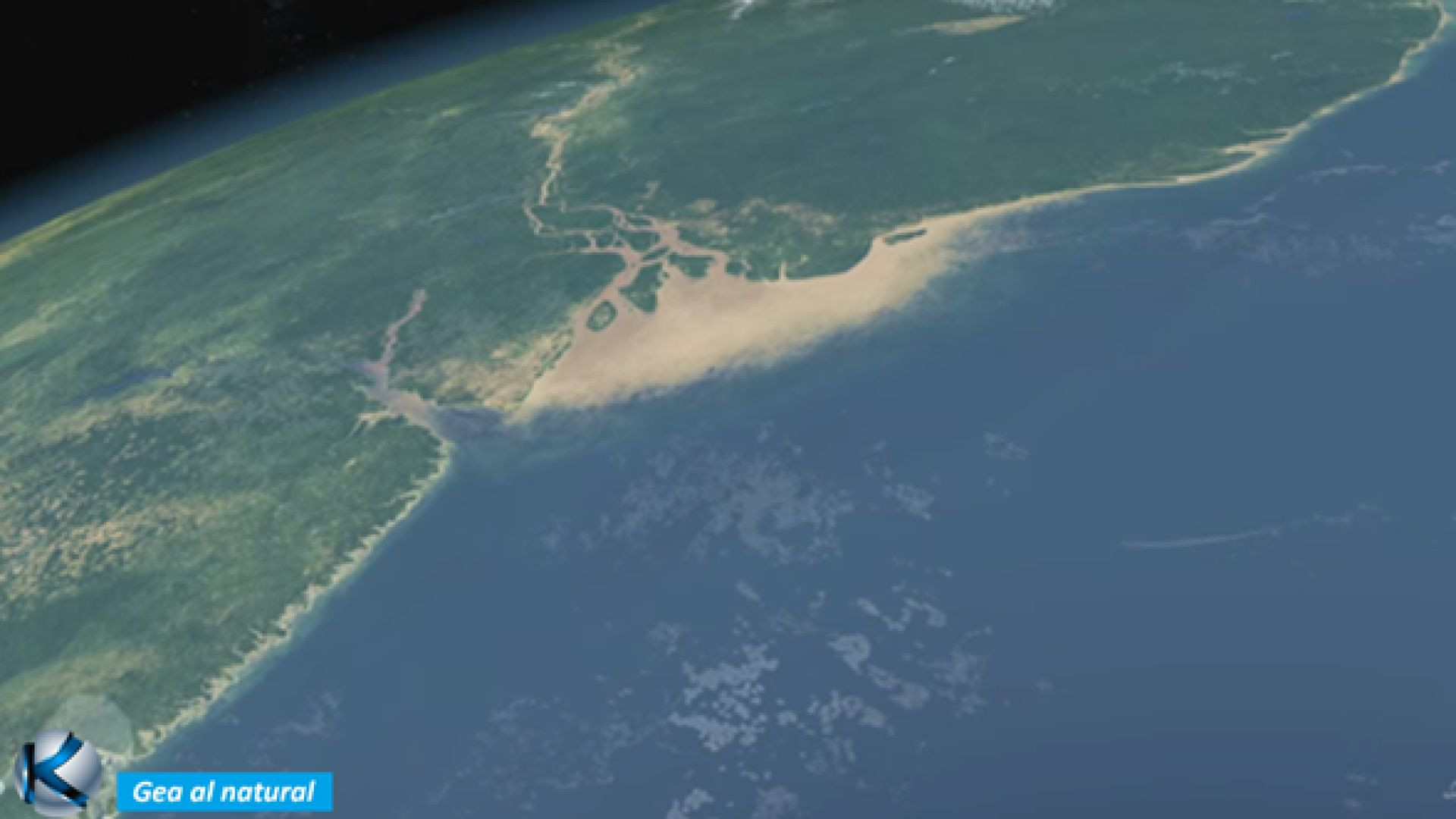 GEA 86 Amazonas verdadero -  El que no se suele ver