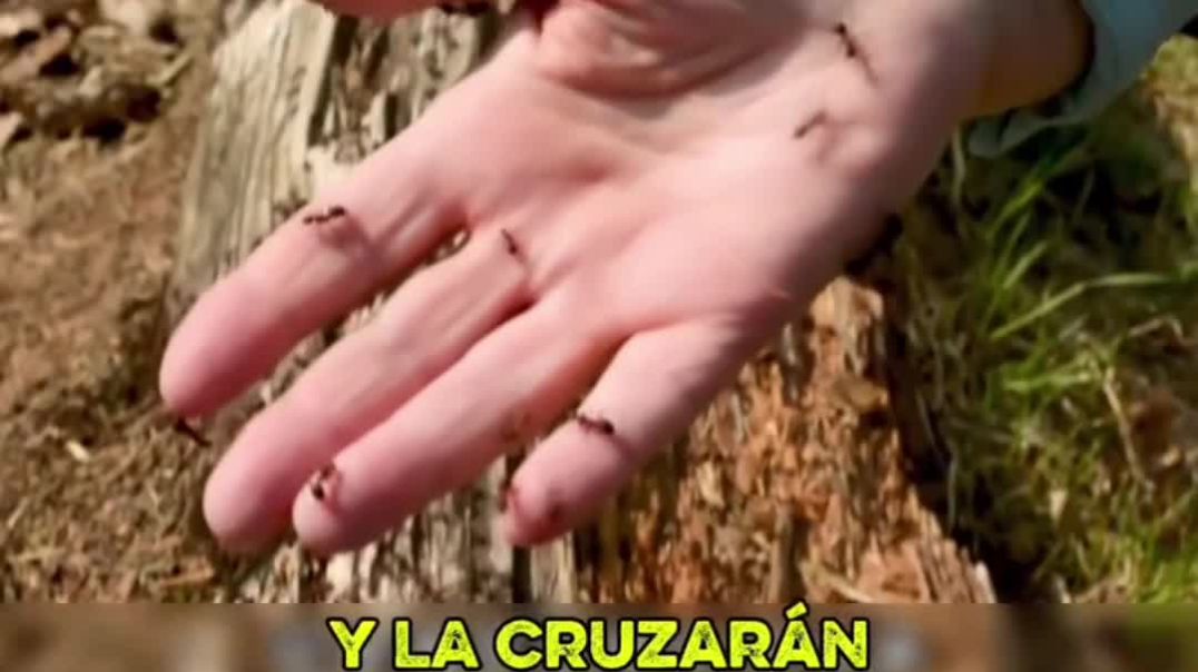 El universo sobre ti