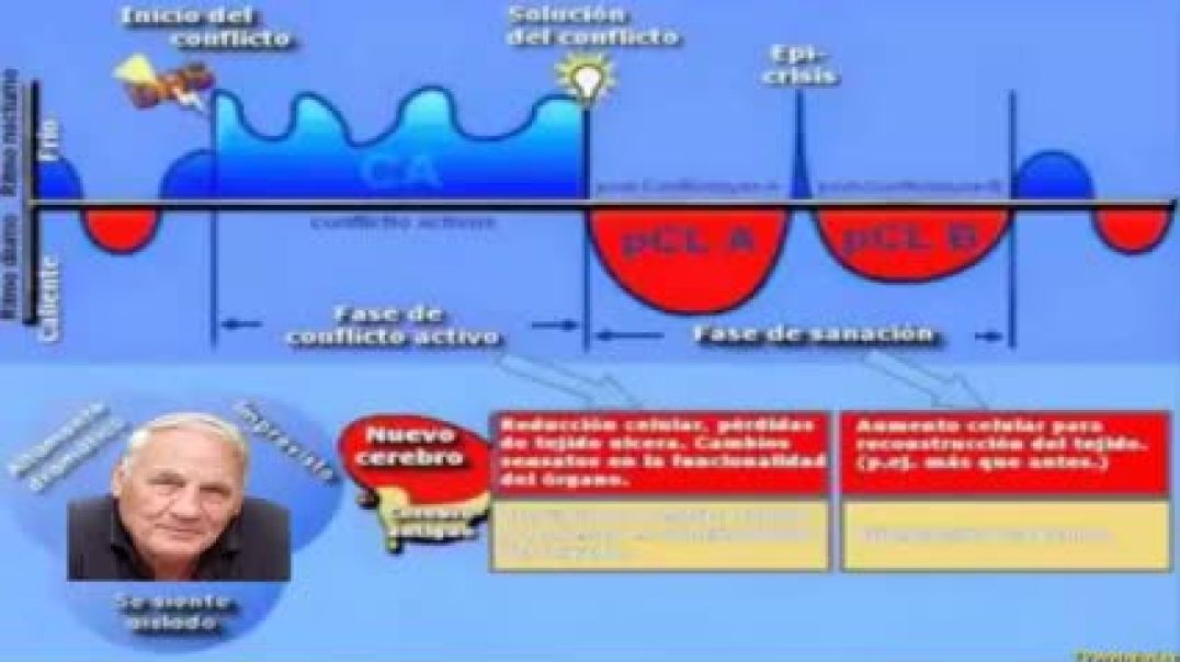 Música de Curación y Sanación del Dr Hamer